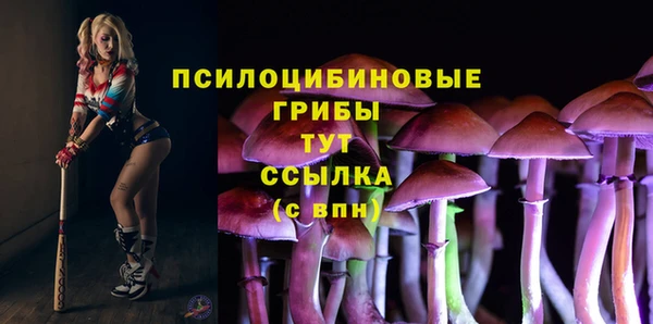 кокаин Богородицк