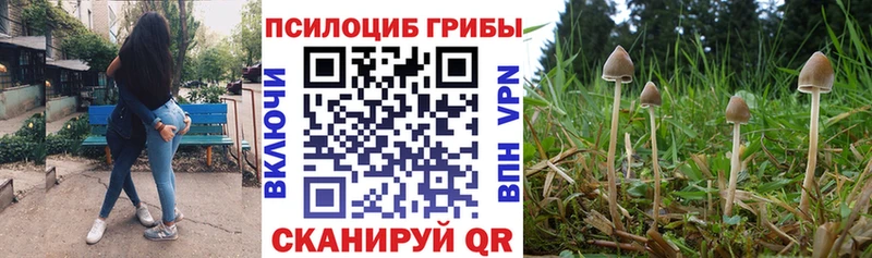 Псилоцибиновые грибы MAGIC MUSHROOMS  где купить наркотик  Ялуторовск 